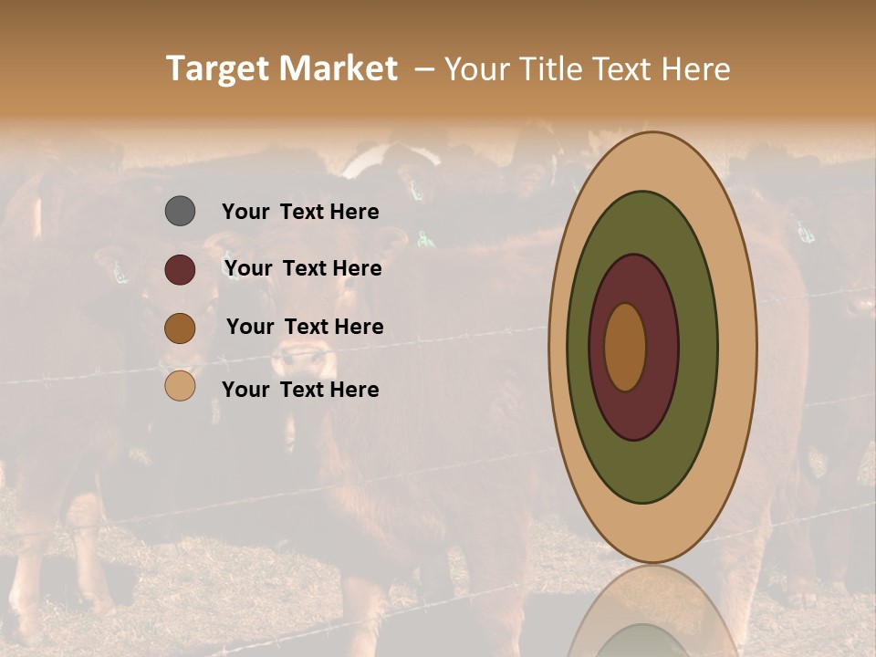 Staring Cow PowerPoint Template