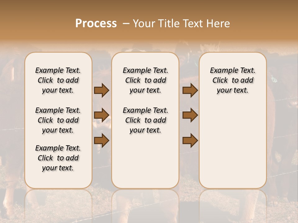 Staring Cow PowerPoint Template