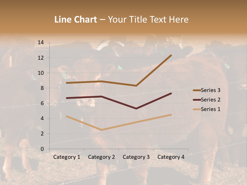Staring Cow PowerPoint Template