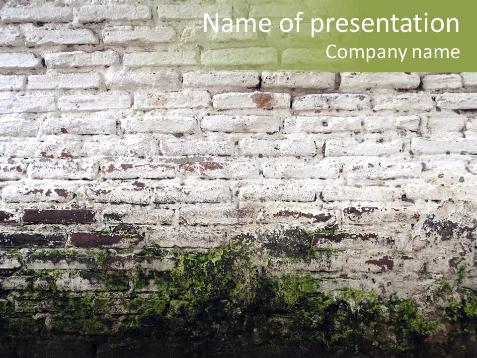 Old Grung White Brick Wall And Moss PowerPoint Template