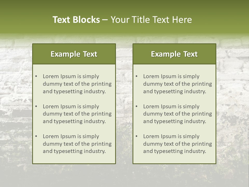 Old Grung White Brick Wall And Moss PowerPoint Template