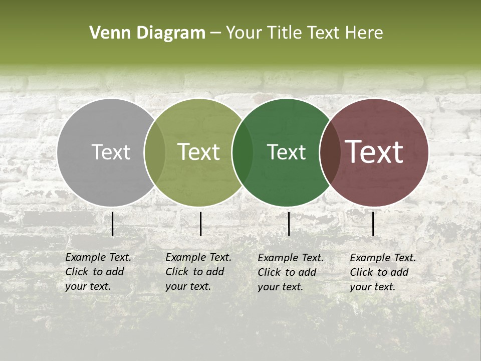 Old Grung White Brick Wall And Moss PowerPoint Template