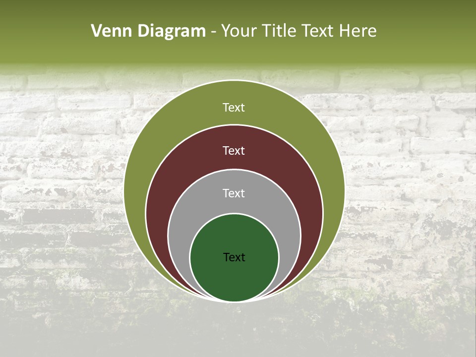 Old Grung White Brick Wall And Moss PowerPoint Template