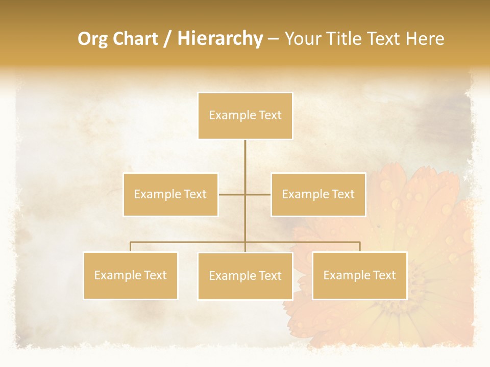 Aged Burnt Paper And Flower, Background PowerPoint Template