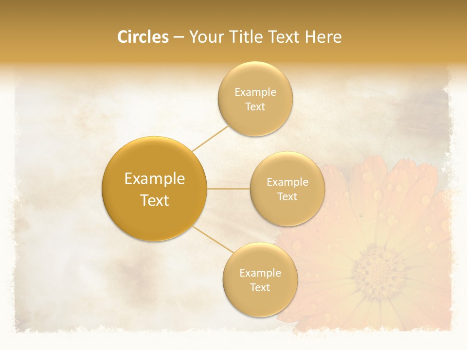 Aged Burnt Paper And Flower, Background PowerPoint Template