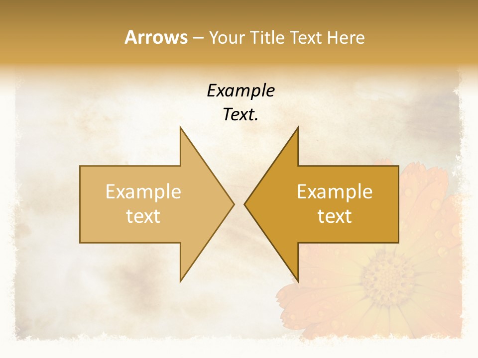 Aged Burnt Paper And Flower, Background PowerPoint Template