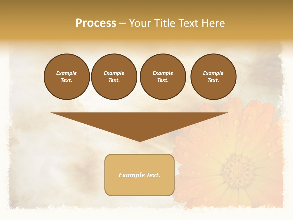 Aged Burnt Paper And Flower, Background PowerPoint Template