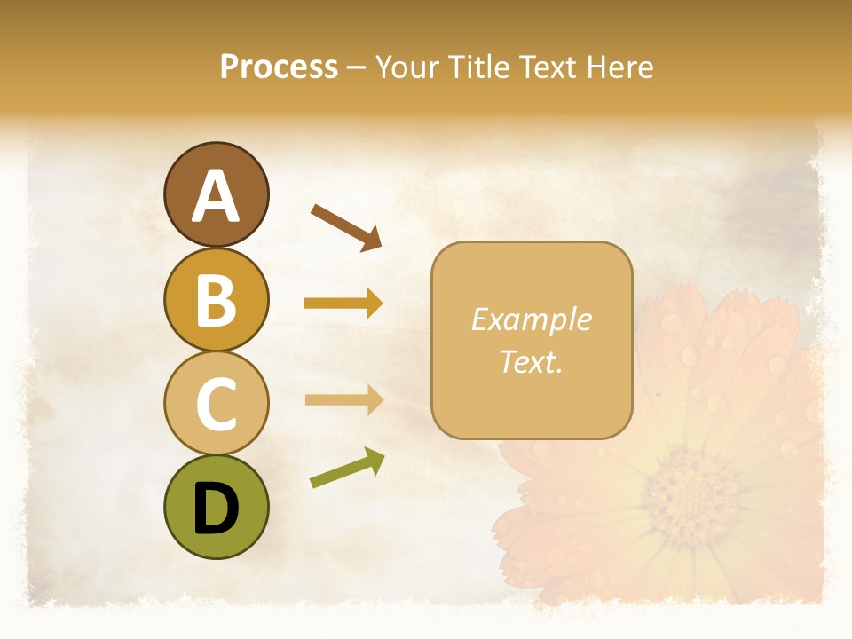 Aged Burnt Paper And Flower, Background PowerPoint Template