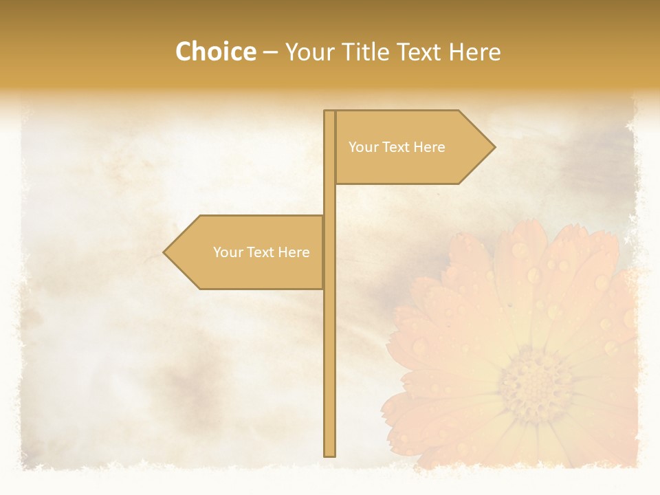 Aged Burnt Paper And Flower, Background PowerPoint Template