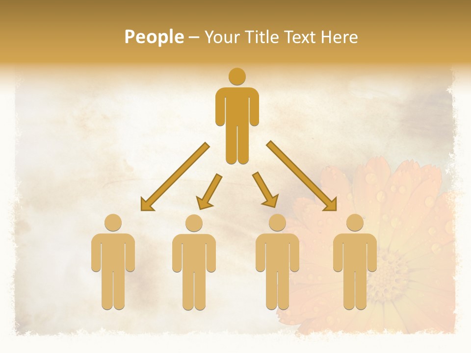 Aged Burnt Paper And Flower, Background PowerPoint Template