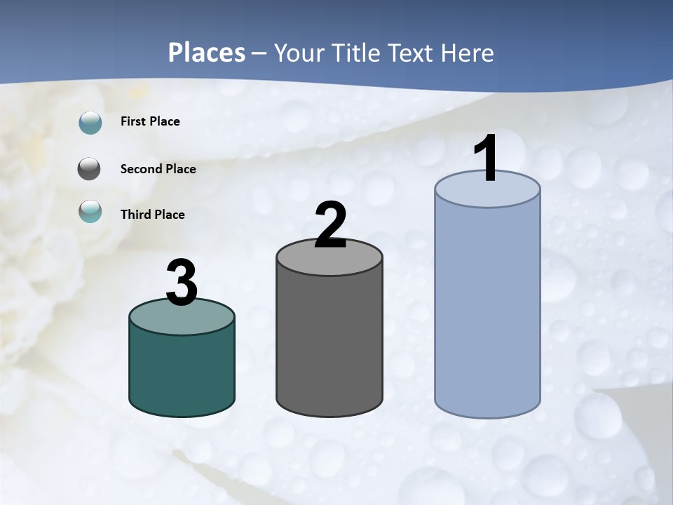 Closeup Of White Daisy With Water Droplets PowerPoint Template