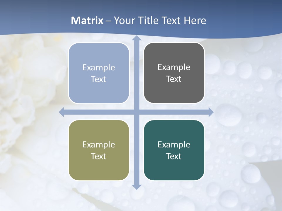 Closeup Of White Daisy With Water Droplets PowerPoint Template