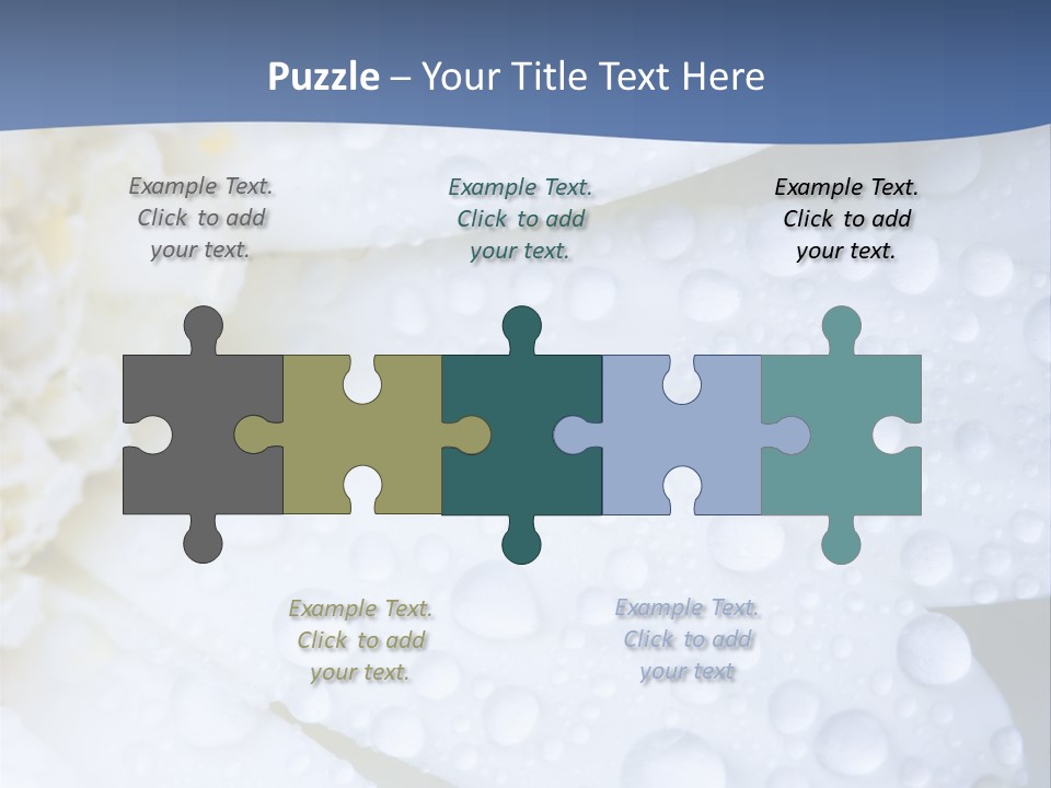 Closeup Of White Daisy With Water Droplets PowerPoint Template