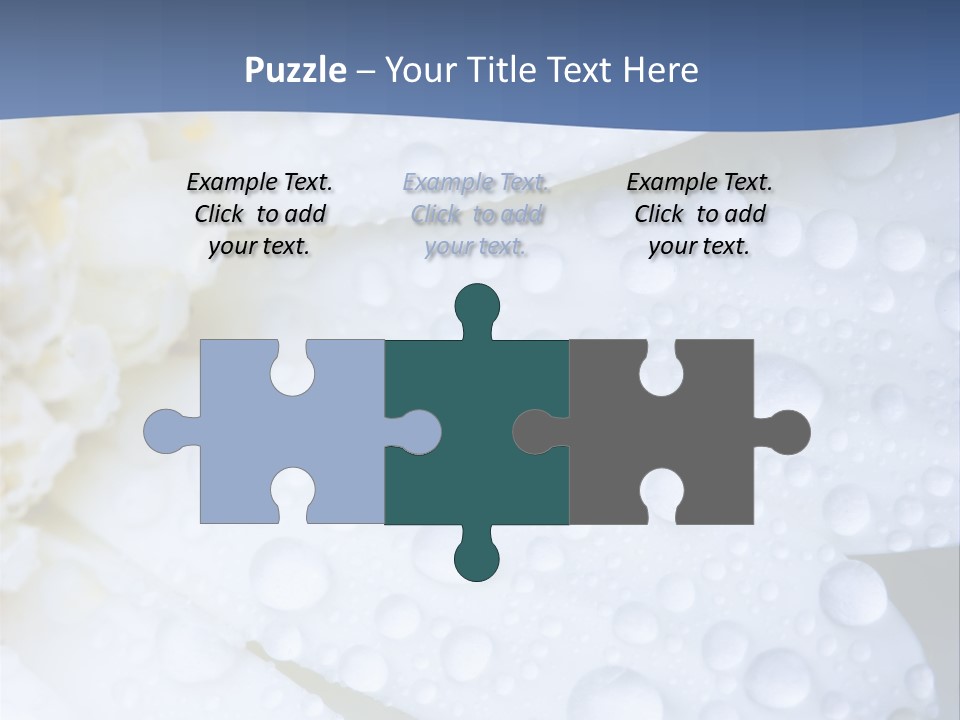 Closeup Of White Daisy With Water Droplets PowerPoint Template