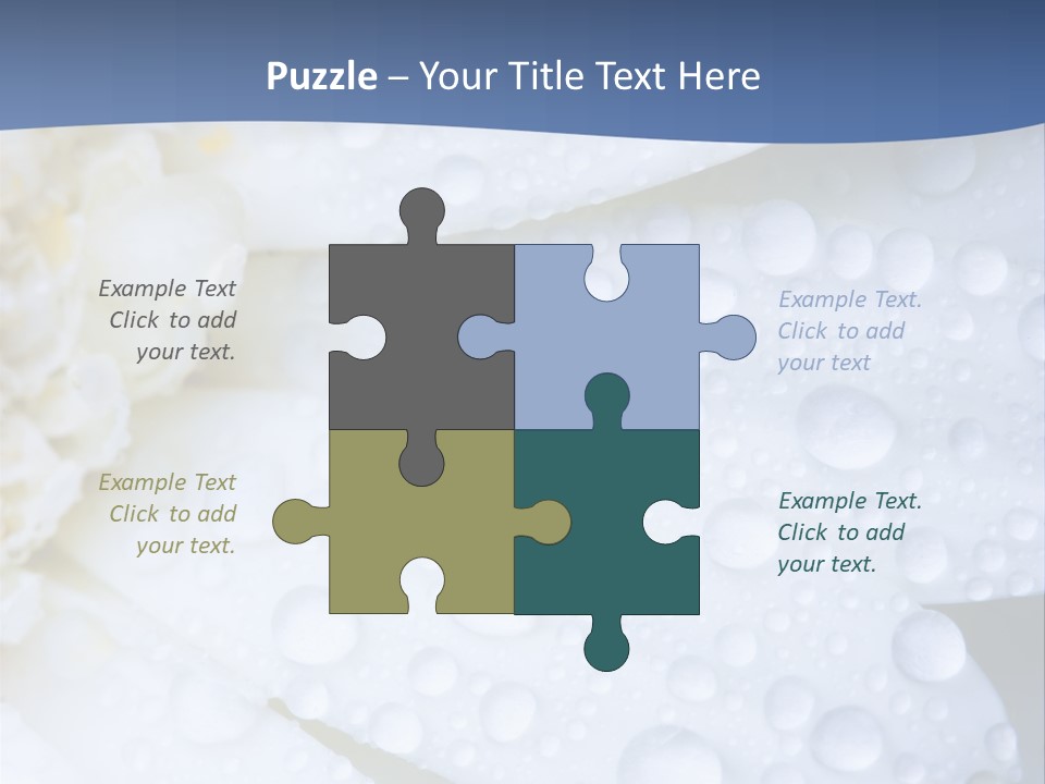 Closeup Of White Daisy With Water Droplets PowerPoint Template