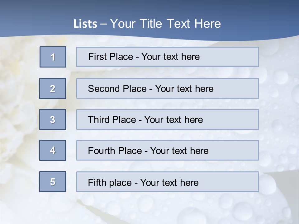 Closeup Of White Daisy With Water Droplets PowerPoint Template