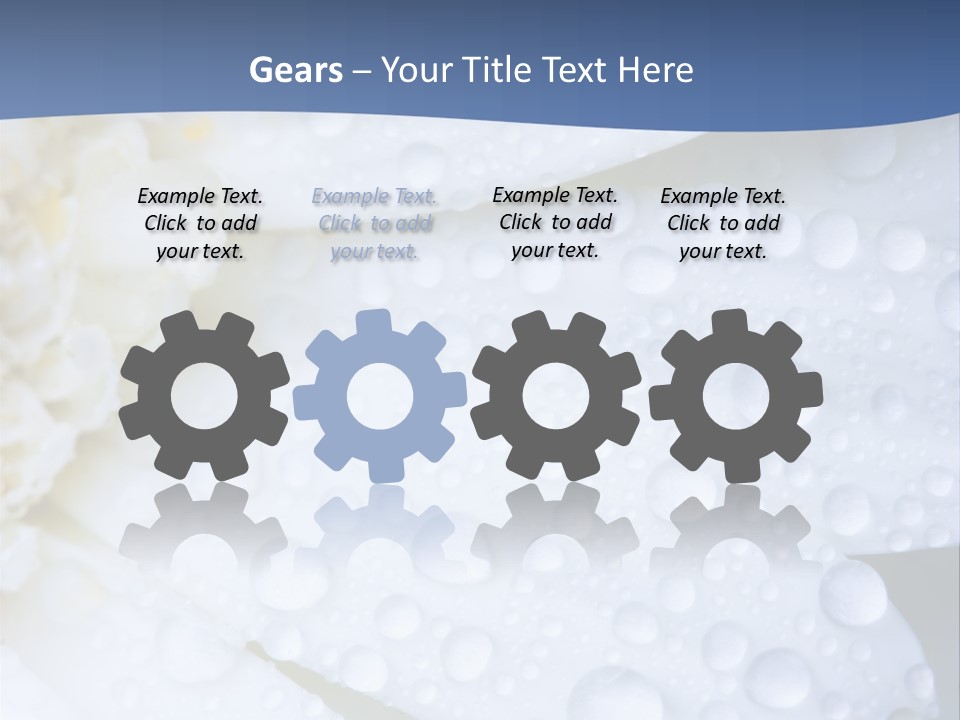 Closeup Of White Daisy With Water Droplets PowerPoint Template