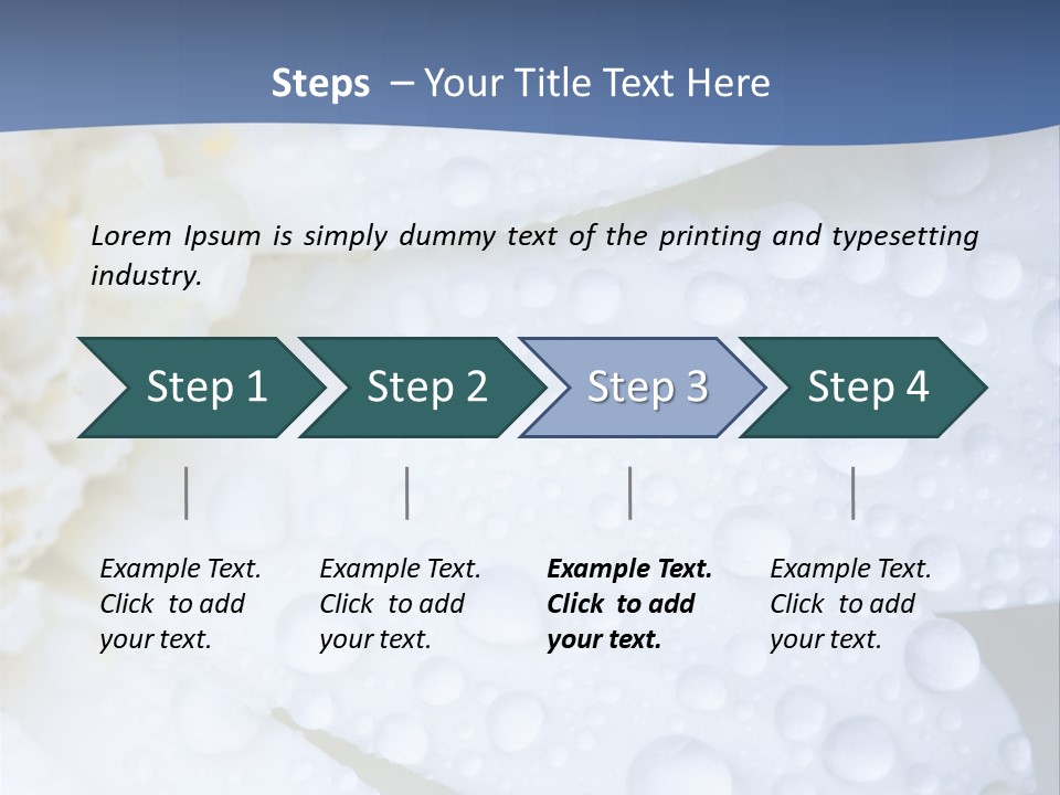 Closeup Of White Daisy With Water Droplets PowerPoint Template