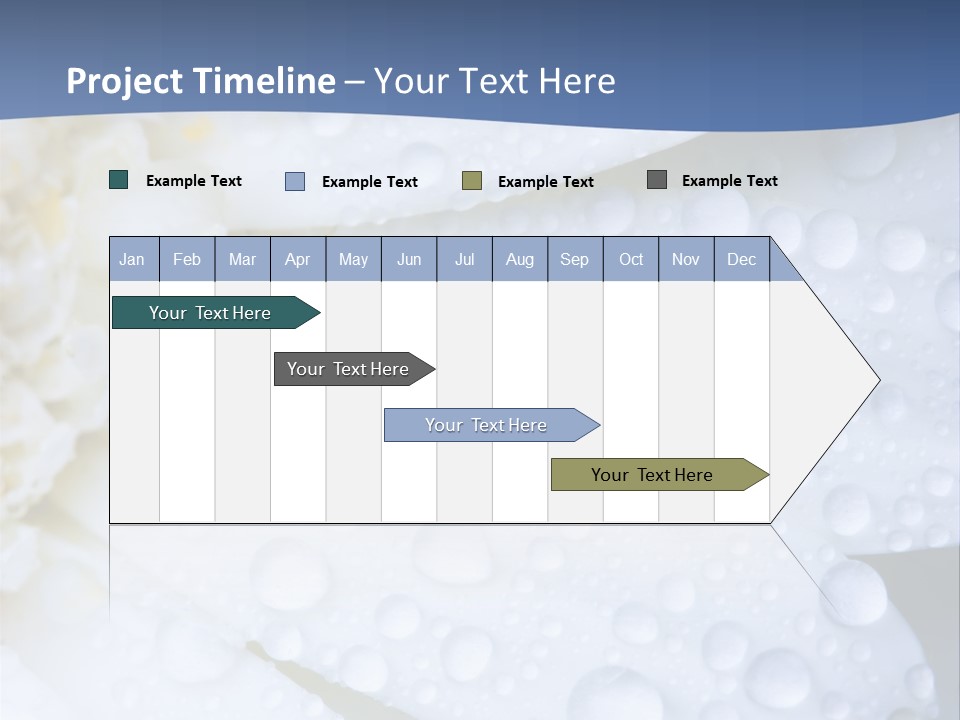 Closeup Of White Daisy With Water Droplets PowerPoint Template
