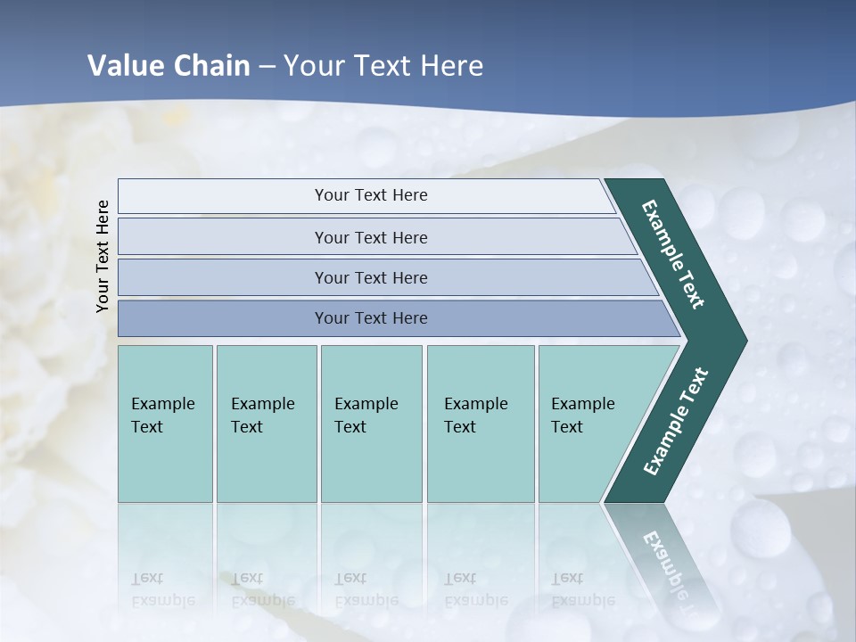 Closeup Of White Daisy With Water Droplets PowerPoint Template