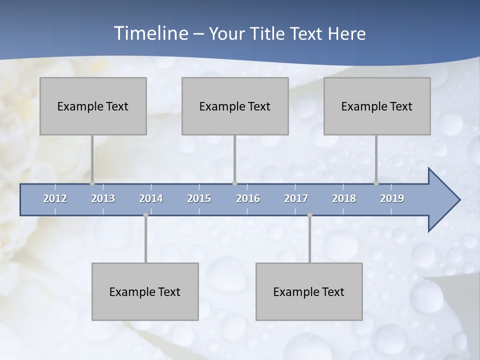 Closeup Of White Daisy With Water Droplets PowerPoint Template