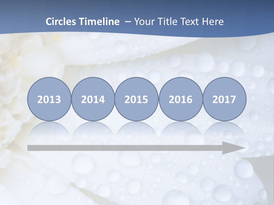 Closeup Of White Daisy With Water Droplets PowerPoint Template