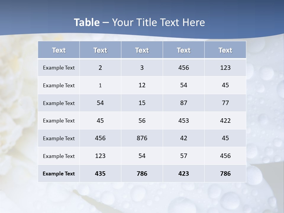 Closeup Of White Daisy With Water Droplets PowerPoint Template