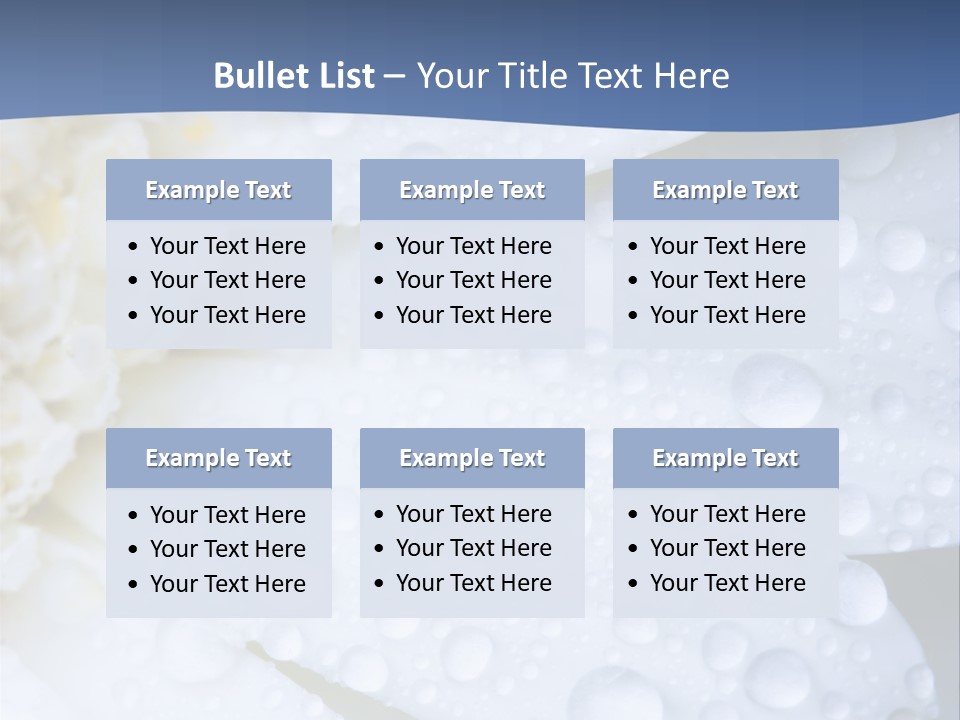 Closeup Of White Daisy With Water Droplets PowerPoint Template