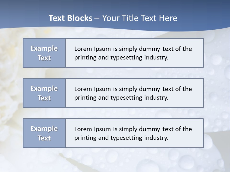 Closeup Of White Daisy With Water Droplets PowerPoint Template