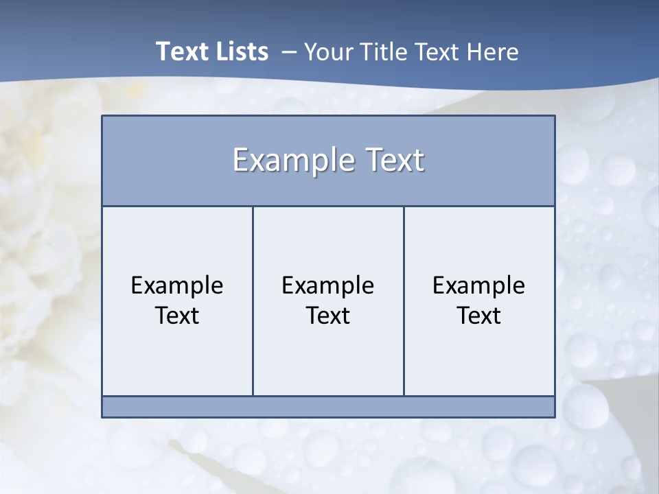 Closeup Of White Daisy With Water Droplets PowerPoint Template