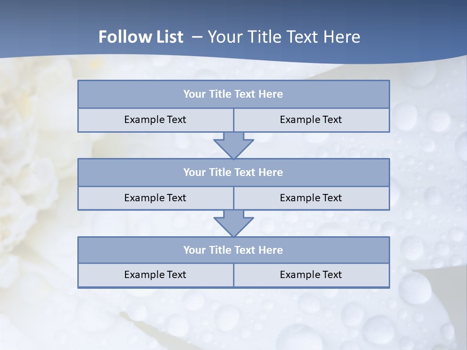 Closeup Of White Daisy With Water Droplets PowerPoint Template