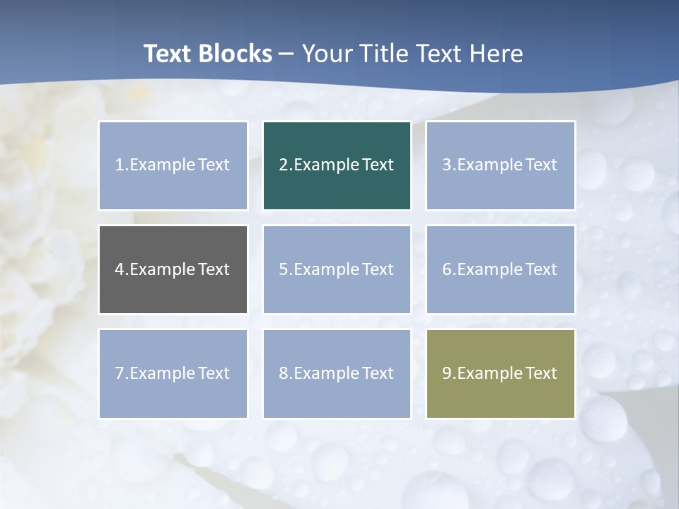 Closeup Of White Daisy With Water Droplets PowerPoint Template