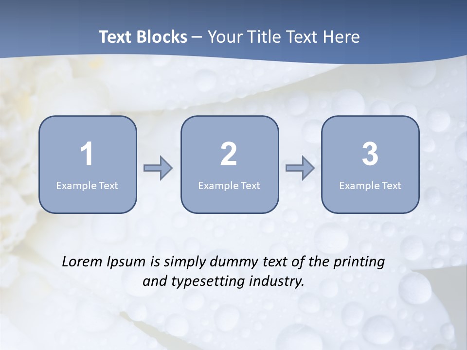 Closeup Of White Daisy With Water Droplets PowerPoint Template