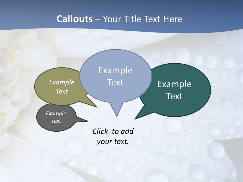 Closeup Of White Daisy With Water Droplets PowerPoint Template