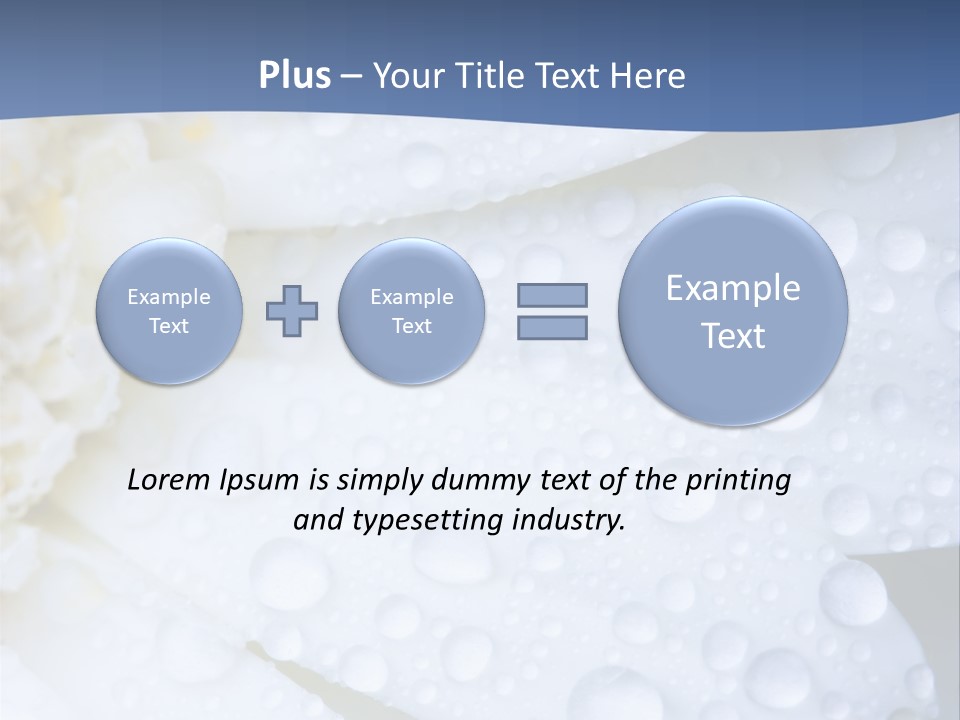 Closeup Of White Daisy With Water Droplets PowerPoint Template