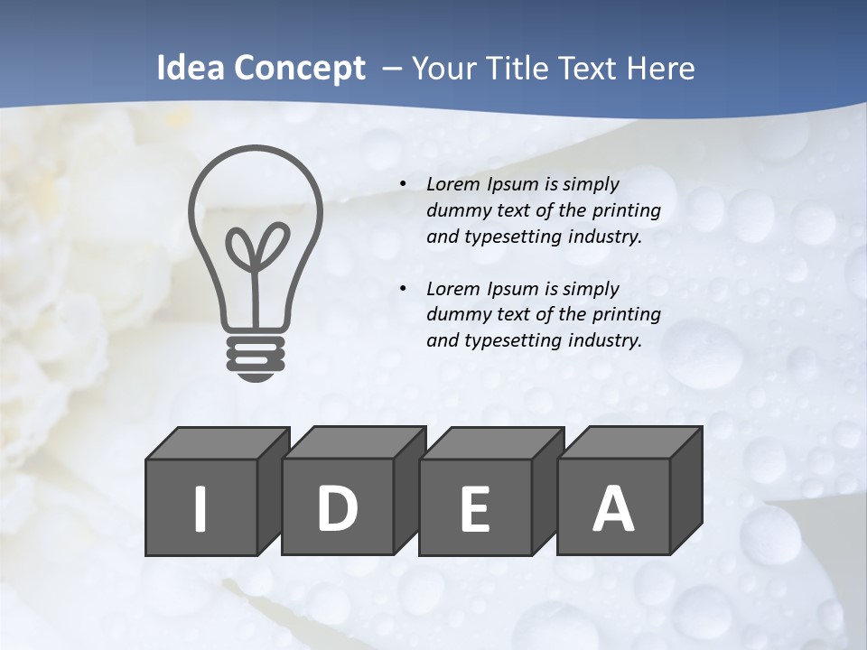 Closeup Of White Daisy With Water Droplets PowerPoint Template