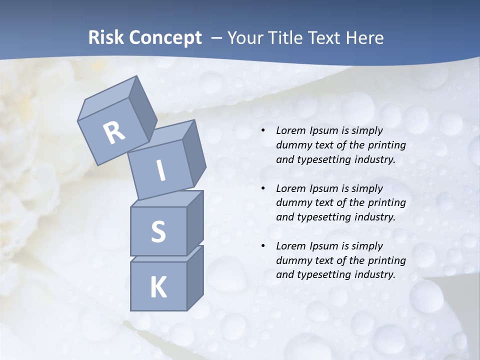 Closeup Of White Daisy With Water Droplets PowerPoint Template