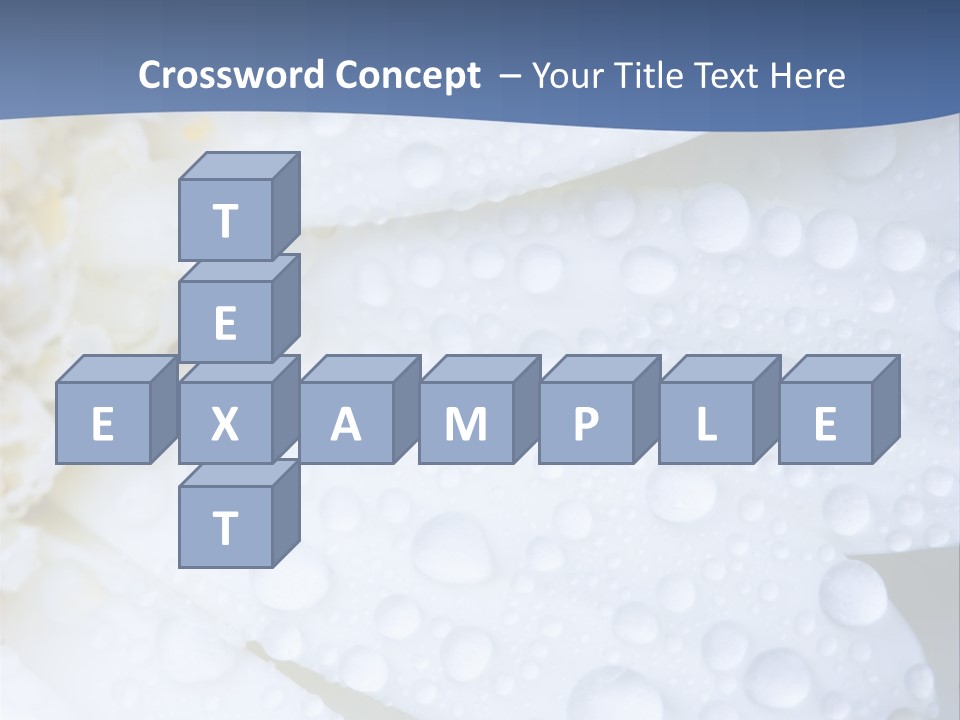 Closeup Of White Daisy With Water Droplets PowerPoint Template