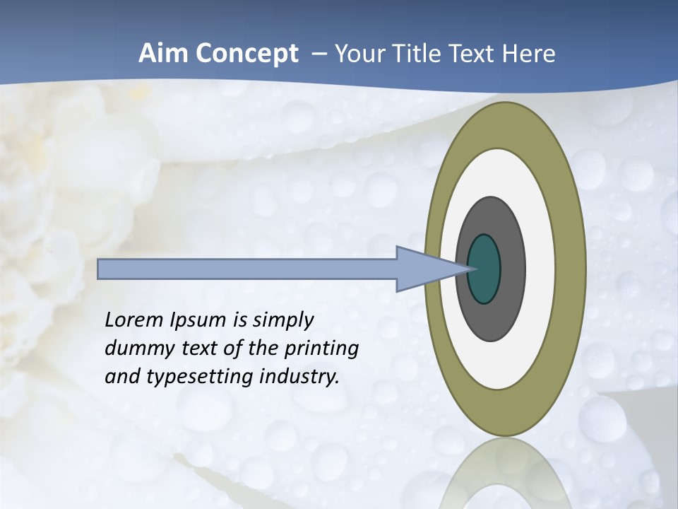 Closeup Of White Daisy With Water Droplets PowerPoint Template