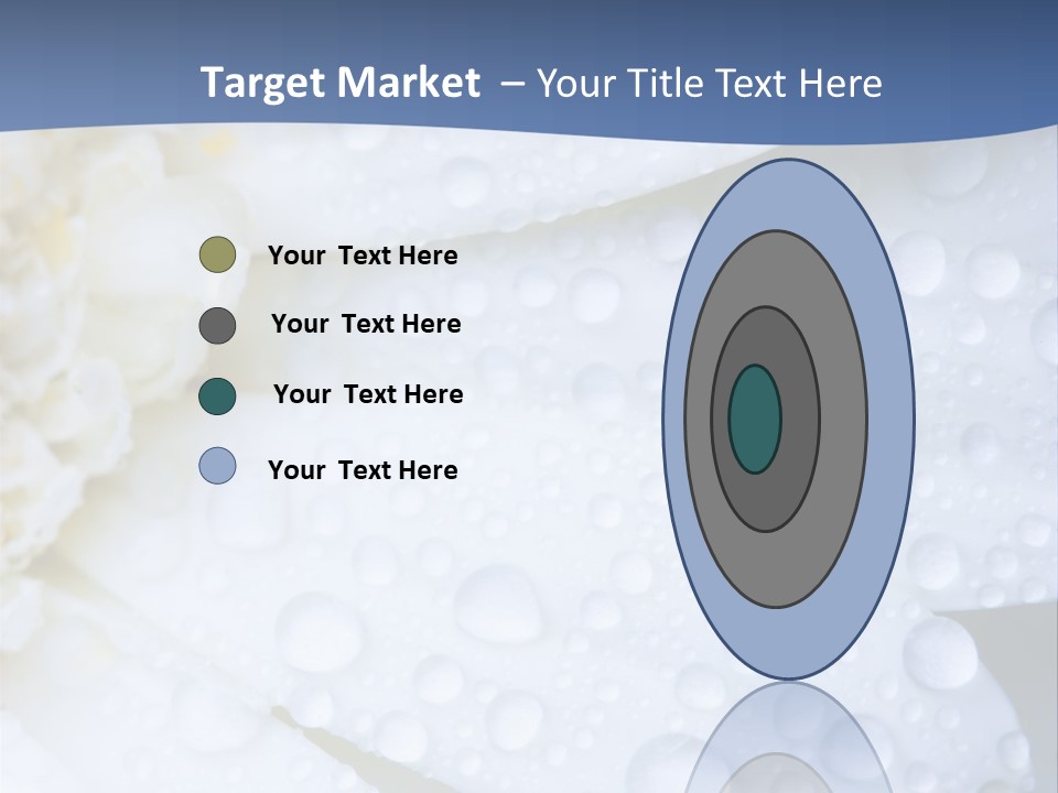 Closeup Of White Daisy With Water Droplets PowerPoint Template