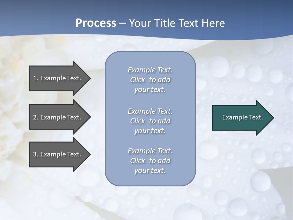 Closeup Of White Daisy With Water Droplets PowerPoint Template