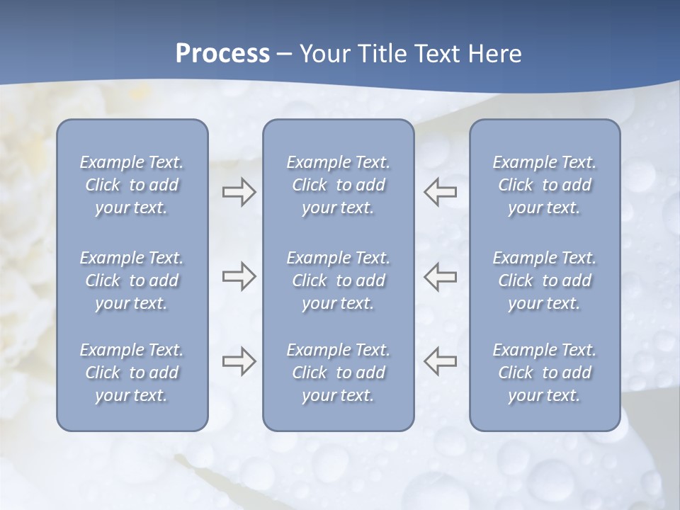 Closeup Of White Daisy With Water Droplets PowerPoint Template