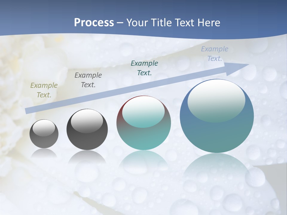 Closeup Of White Daisy With Water Droplets PowerPoint Template