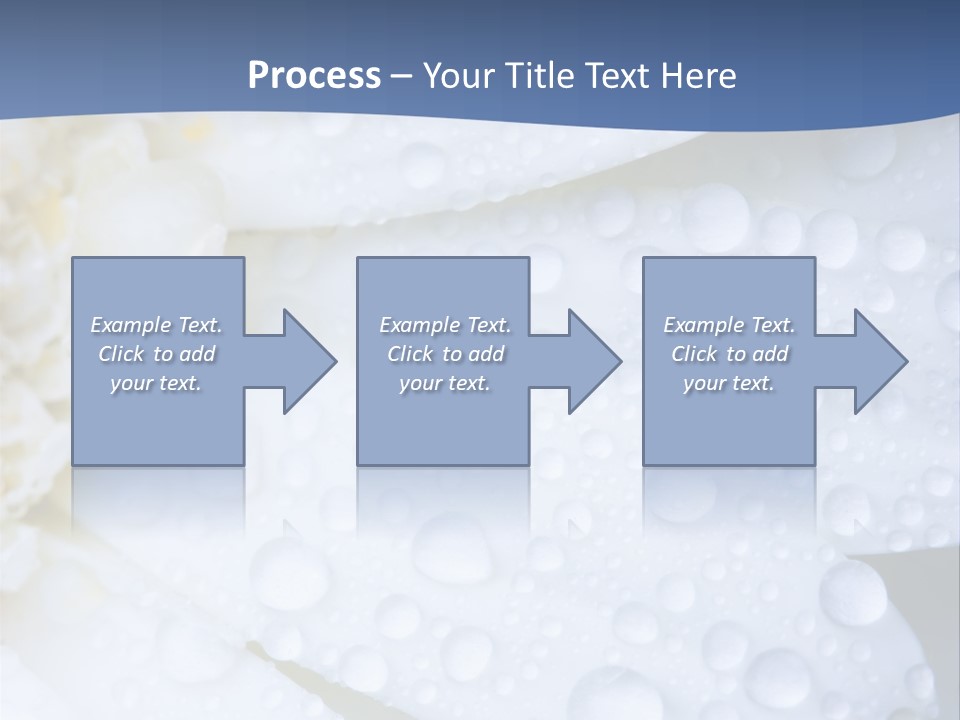 Closeup Of White Daisy With Water Droplets PowerPoint Template