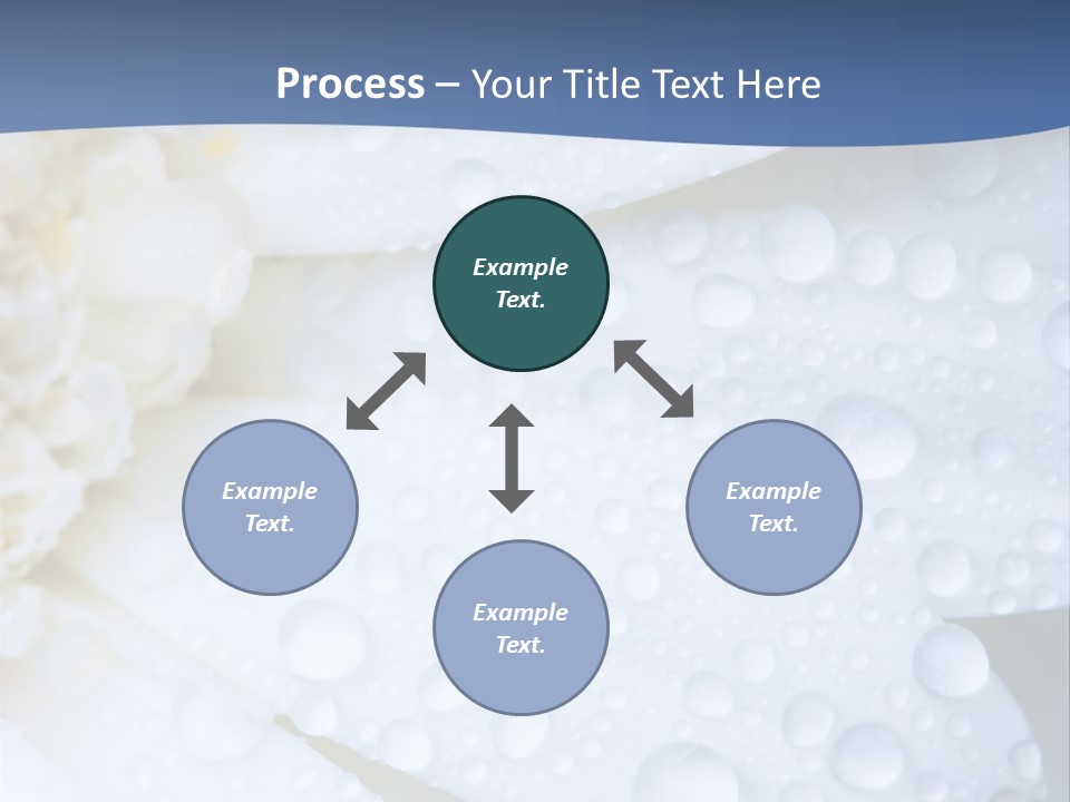 Closeup Of White Daisy With Water Droplets PowerPoint Template