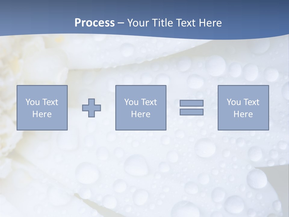 Closeup Of White Daisy With Water Droplets PowerPoint Template