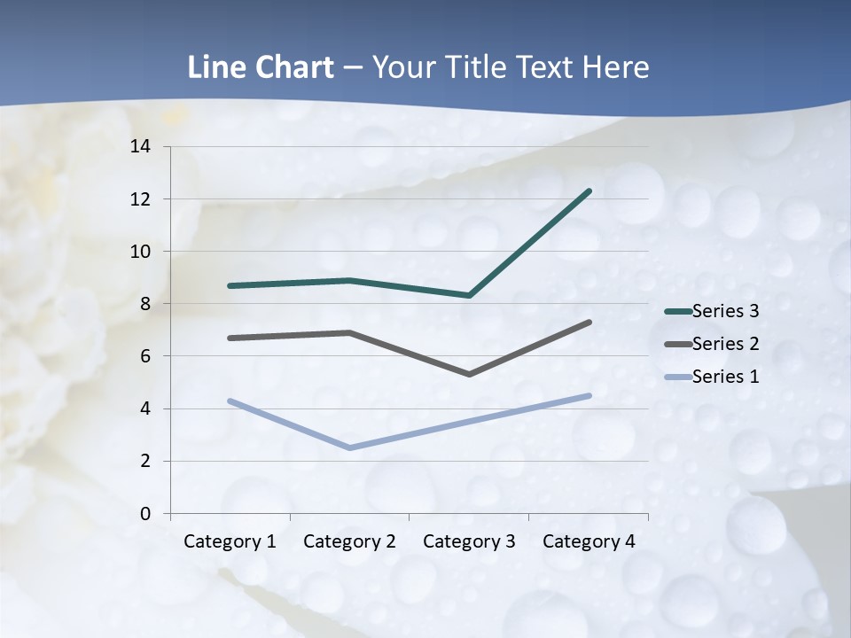 Closeup Of White Daisy With Water Droplets PowerPoint Template