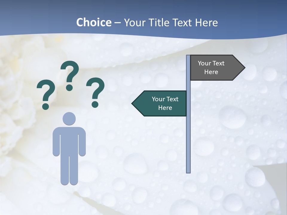 Closeup Of White Daisy With Water Droplets PowerPoint Template