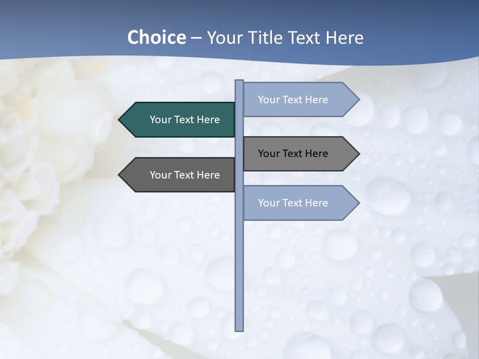 Closeup Of White Daisy With Water Droplets PowerPoint Template