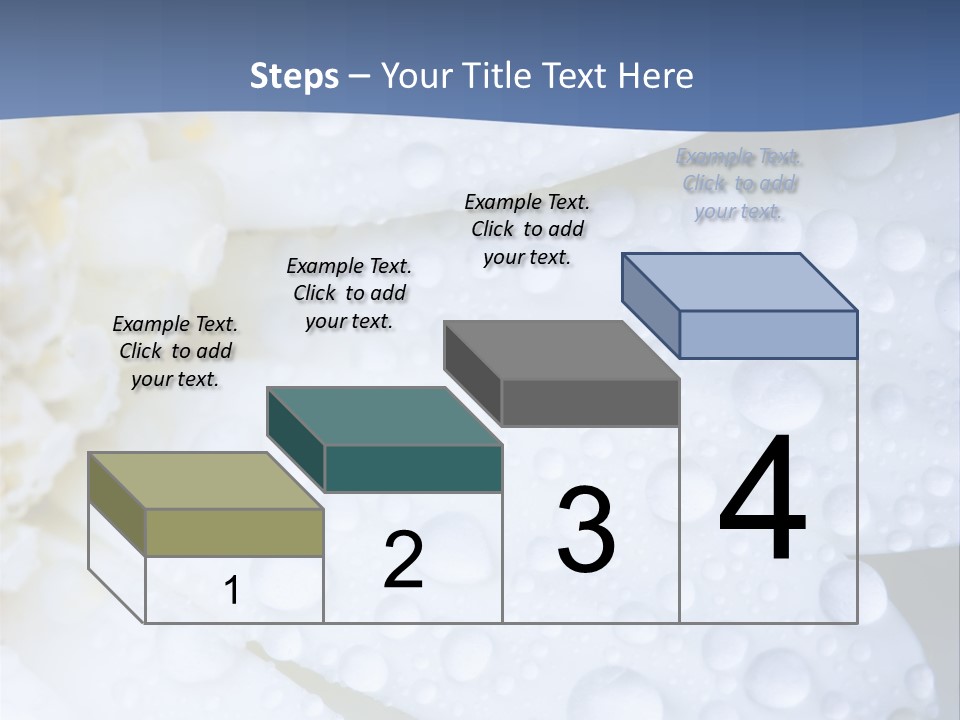 Closeup Of White Daisy With Water Droplets PowerPoint Template